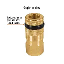 0101001110556_2.webp