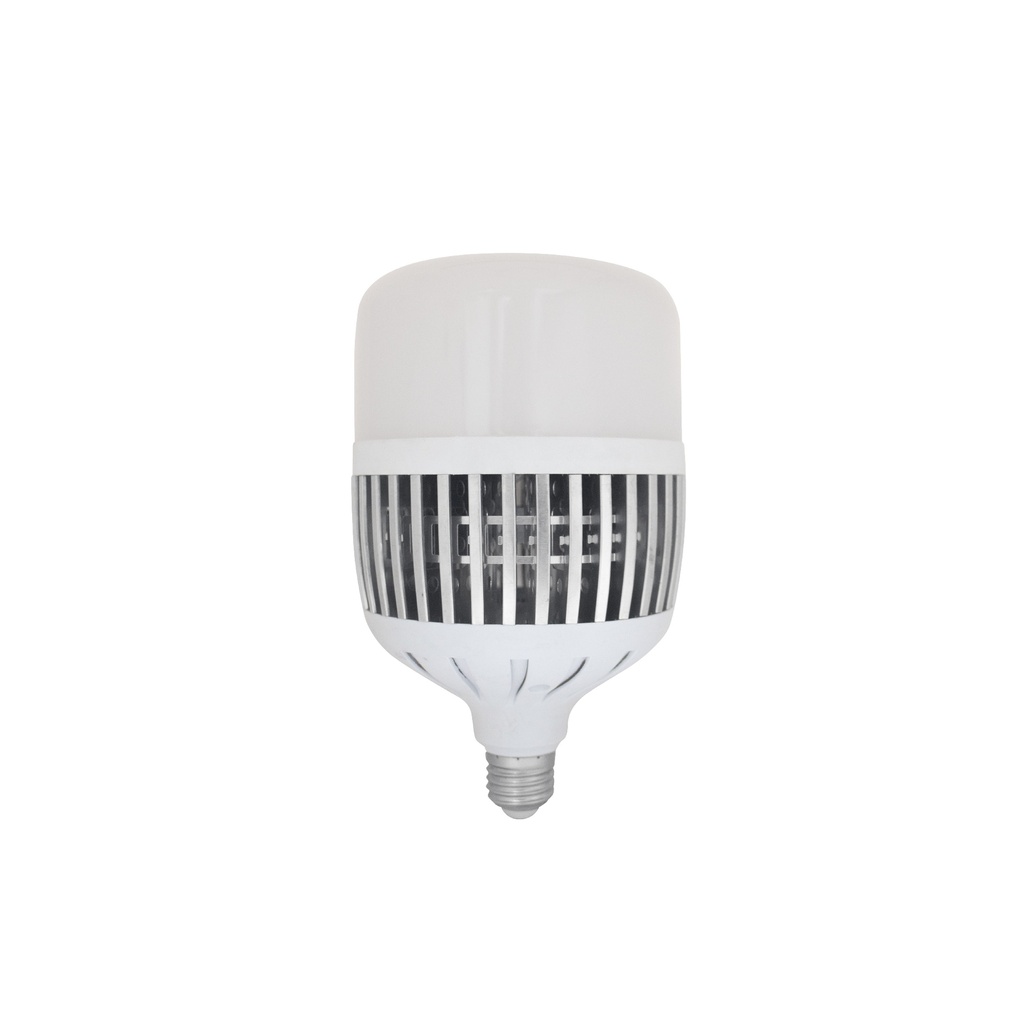 [0460101200910] FOCO LED ULTRA HIGH POWER 100W L/FRIA HOME LIGHT