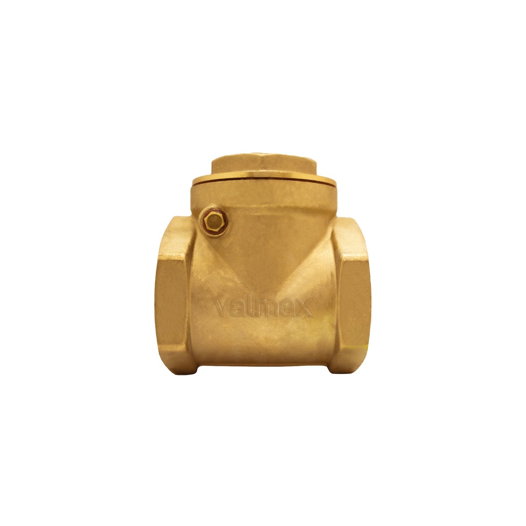 CHECK SWING HORIZONTAL 2" VALMAX
