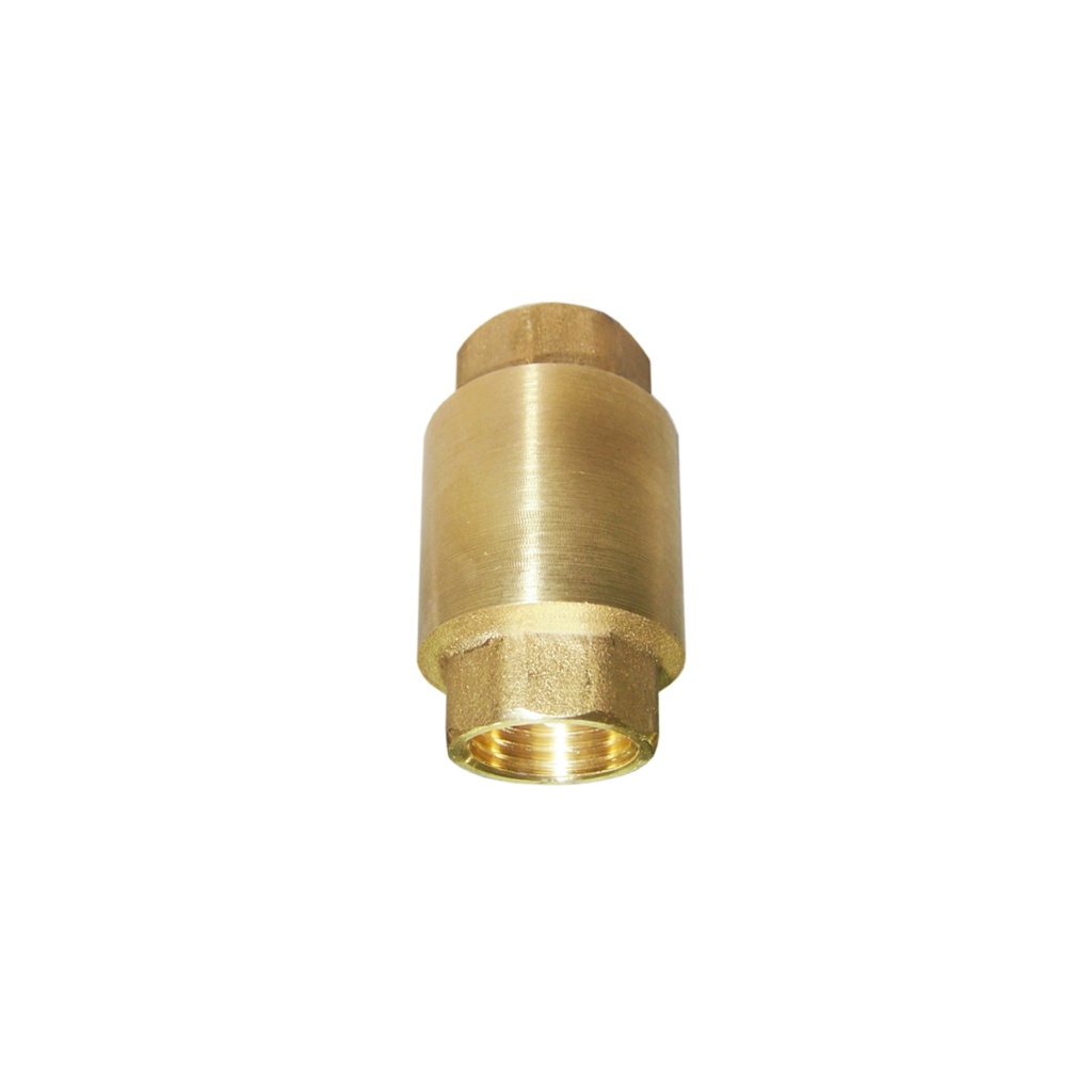 VALVULA CHECK VERTICAL 2" VALMAX